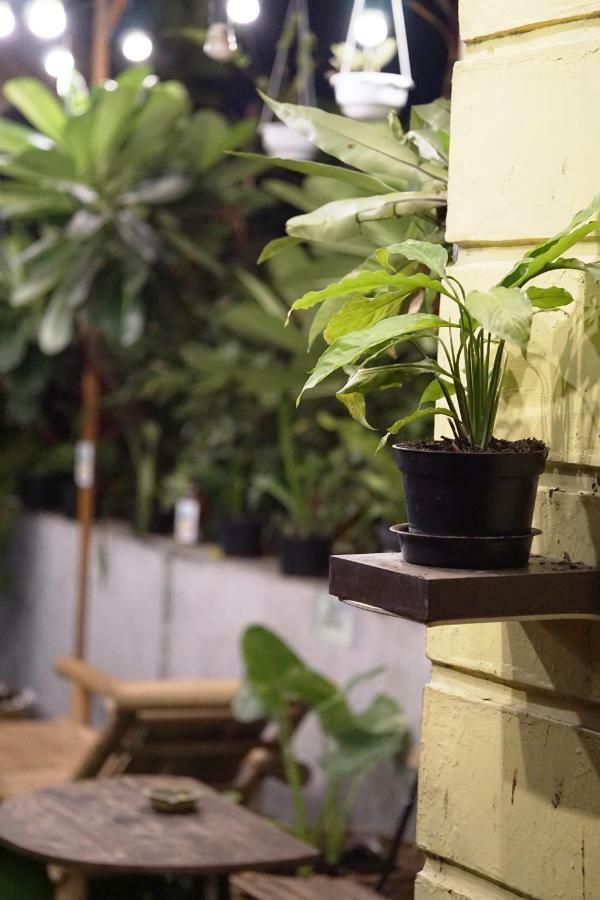 Wonderloft *